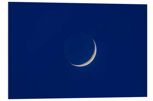 Print på skumplade Waxing moon with earthshine in twilight