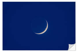 Muursticker Waxing moon with earthshine in twilight