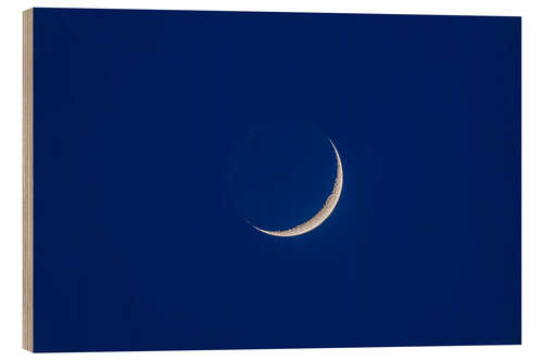 Stampa su legno Waxing moon with earthshine in twilight