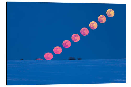 Aluminium print Rising of the full moon over Alberta, Canada