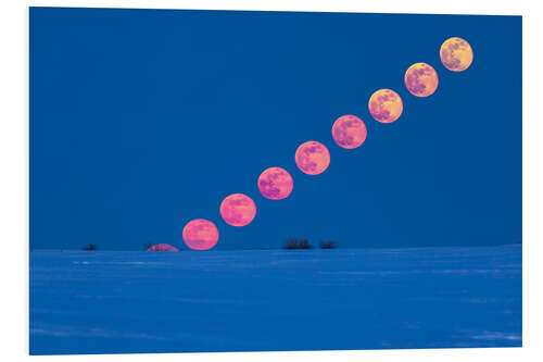 Stampa su PVC Rising of the full moon over Alberta, Canada