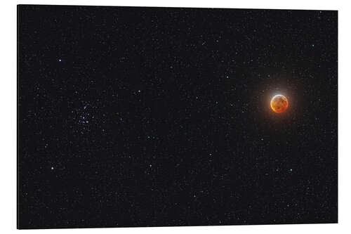 Aluminium print Eclipsed moon beside the Beehive star cluster