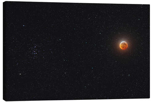 Canvas print Eclipsed moon beside the Beehive star cluster