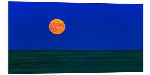 Foam board print Full moonrise over a green field of wheat in Alberta, Canada