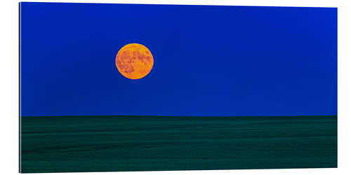 Galleritryck Full moonrise over a green field of wheat in Alberta, Canada