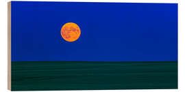 Wood print Full moonrise over a green field of wheat in Alberta, Canada