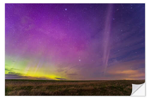 Sticker mural STEVE glowing arc south of the auroral curtains, Alberta, Canada