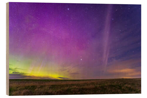 Trebilde STEVE glowing arc south of the auroral curtains, Alberta, Canada