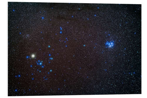 Foam board print Star clusters Hyades (left) and Pleiades (right) in Taurus