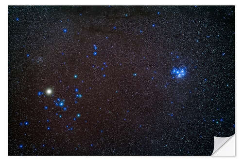 Wall sticker Star clusters Hyades (left) and Pleiades (right) in Taurus