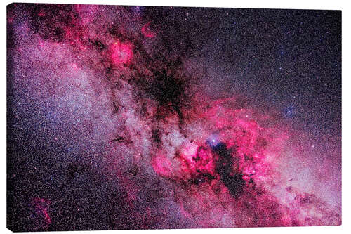 Canvas print Nebulosity in the constellations of Cygnus and Cepheus