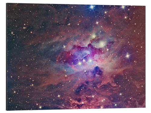 Tableau en aluminium NGC 1973, The Running Man Nebula