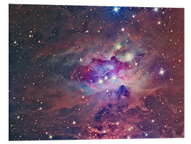 Foam board print NGC 1973, The Running Man Nebula