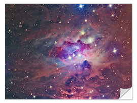 Självhäftande poster NGC 1973, The Running Man Nebula