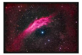 Gerahmter Kunstdruck NGC 1499, der Kalifornien-Nebel, im Perseus