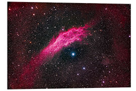 Foam board print NGC 1499, the California Nebula, in Perseus