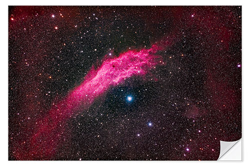 Självhäftande poster NGC 1499, the California Nebula, in Perseus