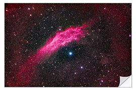 Vinilo para la pared NGC 1499, the California Nebula, in Perseus