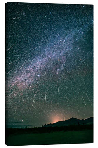 Leinwandbild Geminiden-Meteoritenschauer über den Chiricahua Mountains