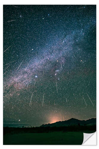 Selvklæbende plakat Geminid meteor shower raining above the Chiricahua Mountains