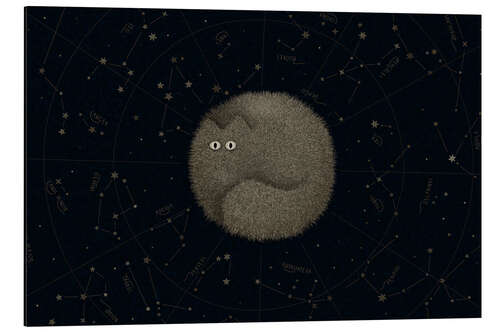 Aluminiumtavla Cat planet, Mewrs
