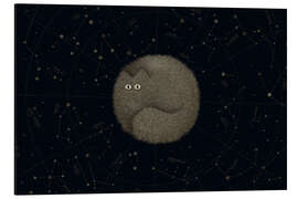 Tableau en aluminium Cat planet, Mewrs
