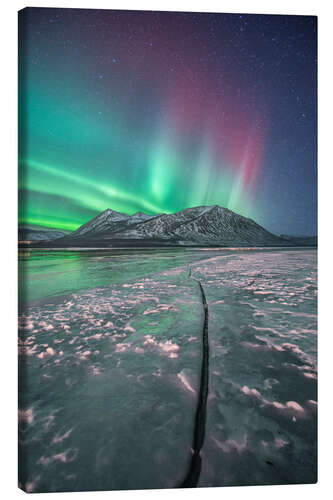 Lienzo Northern lights, Carcross, Yukon, Canada