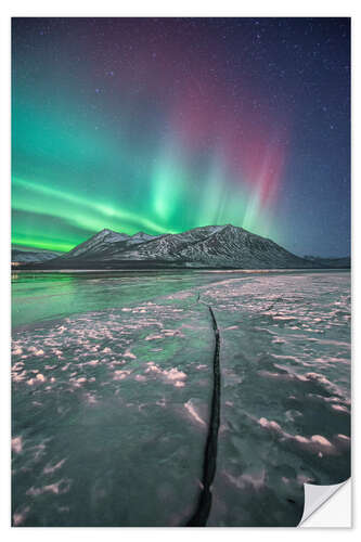 Naklejka na ścianę Northern lights, Carcross, Yukon, Canada