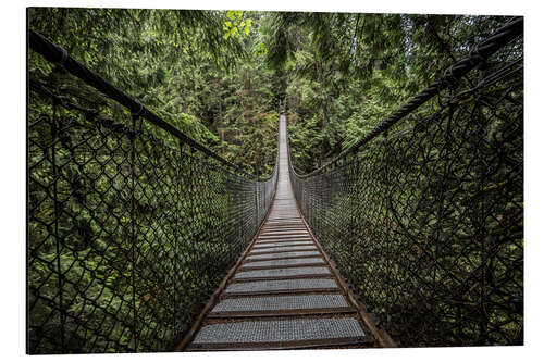 Obraz na aluminium Suspension bridge, Canada