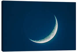 Tableau sur toile 4-day old crescent moon in blue twilight