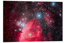 Aluminium print Orion's Belt and the Horsehead Nebula