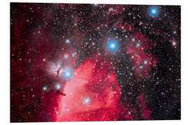 Foam board print Orion's Belt and the Horsehead Nebula