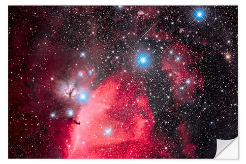 Naklejka na ścianę Orion's Belt and the Horsehead Nebula