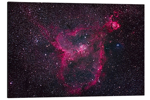 Cuadro de aluminio The Heart Nebula in Cassiopeia