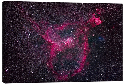 Canvas print The Heart Nebula in Cassiopeia