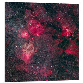 Aluminium print Star clusters and nebulas on the Cassiopeia-Cepheus border