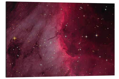 Cuadro de aluminio The Pelican Nebula