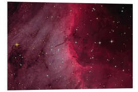 Foam board print The Pelican Nebula