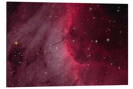 Magnettafel The Pelican Nebula