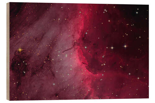 Wood print The Pelican Nebula