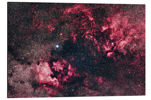 Aluminium print Rich nebulosity in Cygnus