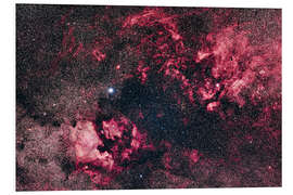 Foam board print Rich nebulosity in Cygnus