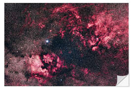 Selvklebende plakat Rich nebulosity in Cygnus