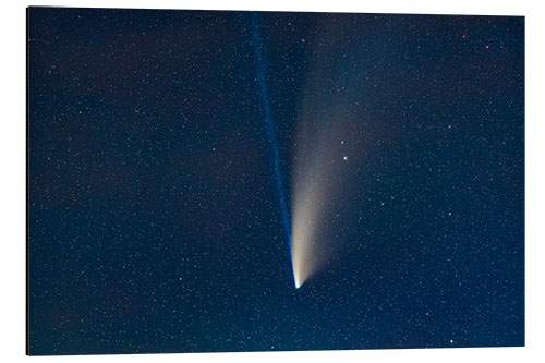 Aluminiumtavla Comet NEOWISE in a telephoto lens close-up