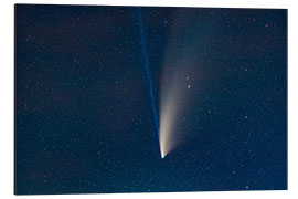 Aluminium print Comet NEOWISE in a telephoto lens close-up