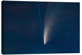 Canvas print Comet NEOWISE in a telephoto lens close-up