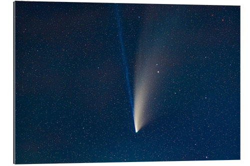 Cuadro de plexi-alu Comet NEOWISE in a telephoto lens close-up