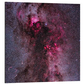 Alubild The complex of red emission and dark nebulas in Cygnus