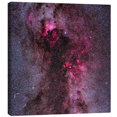 Canvastavla The complex of red emission and dark nebulas in Cygnus