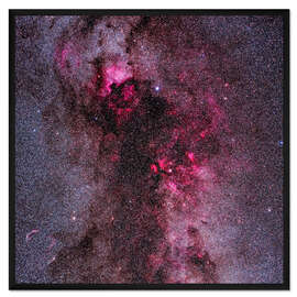 Gerahmter Kunstdruck The complex of red emission and dark nebulas in Cygnus